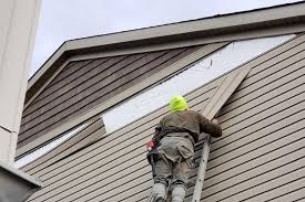 Best Siding Painting and Refinishing  in Monongah, WV